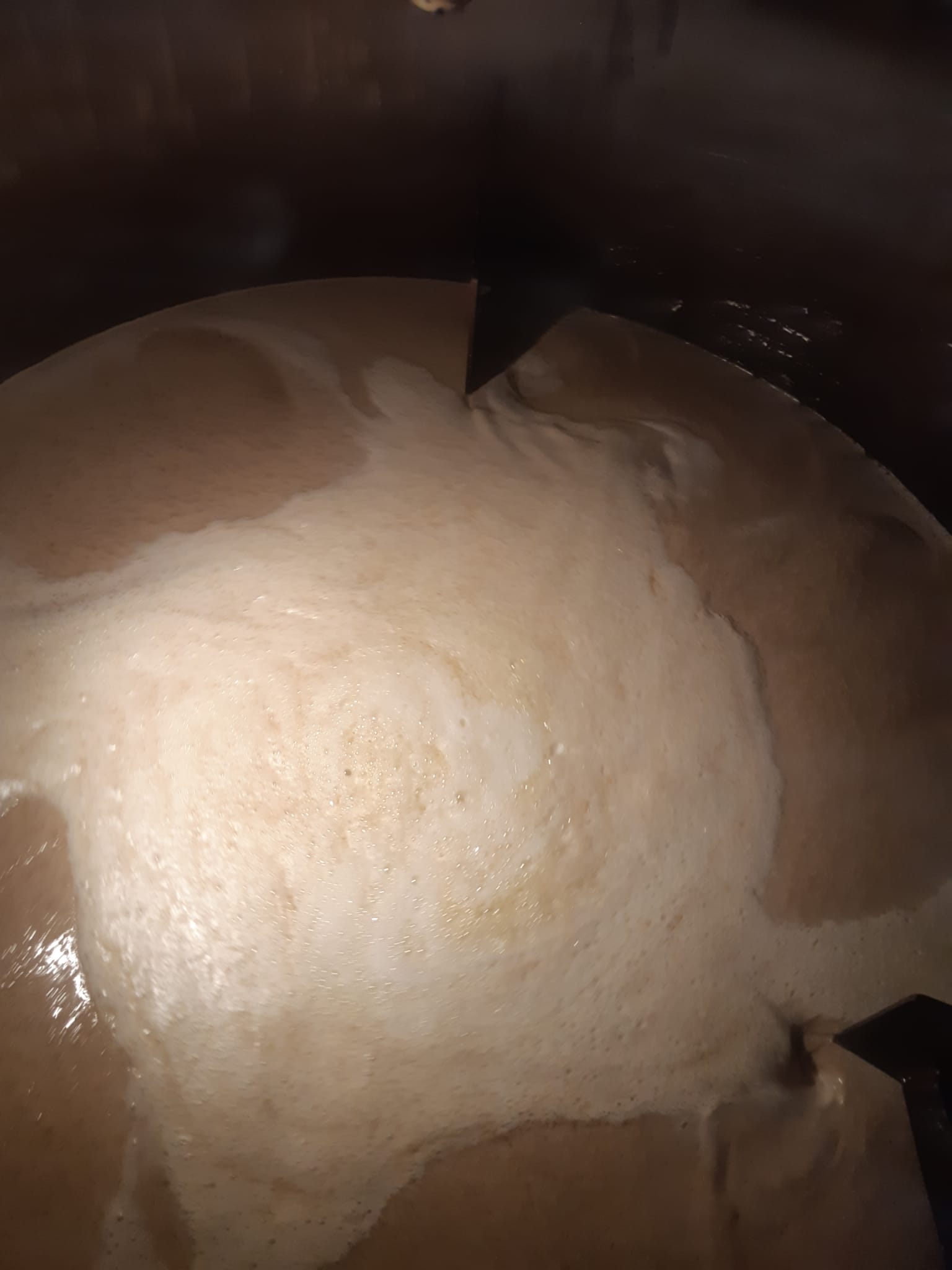 Tibi Brauerei Impression 6