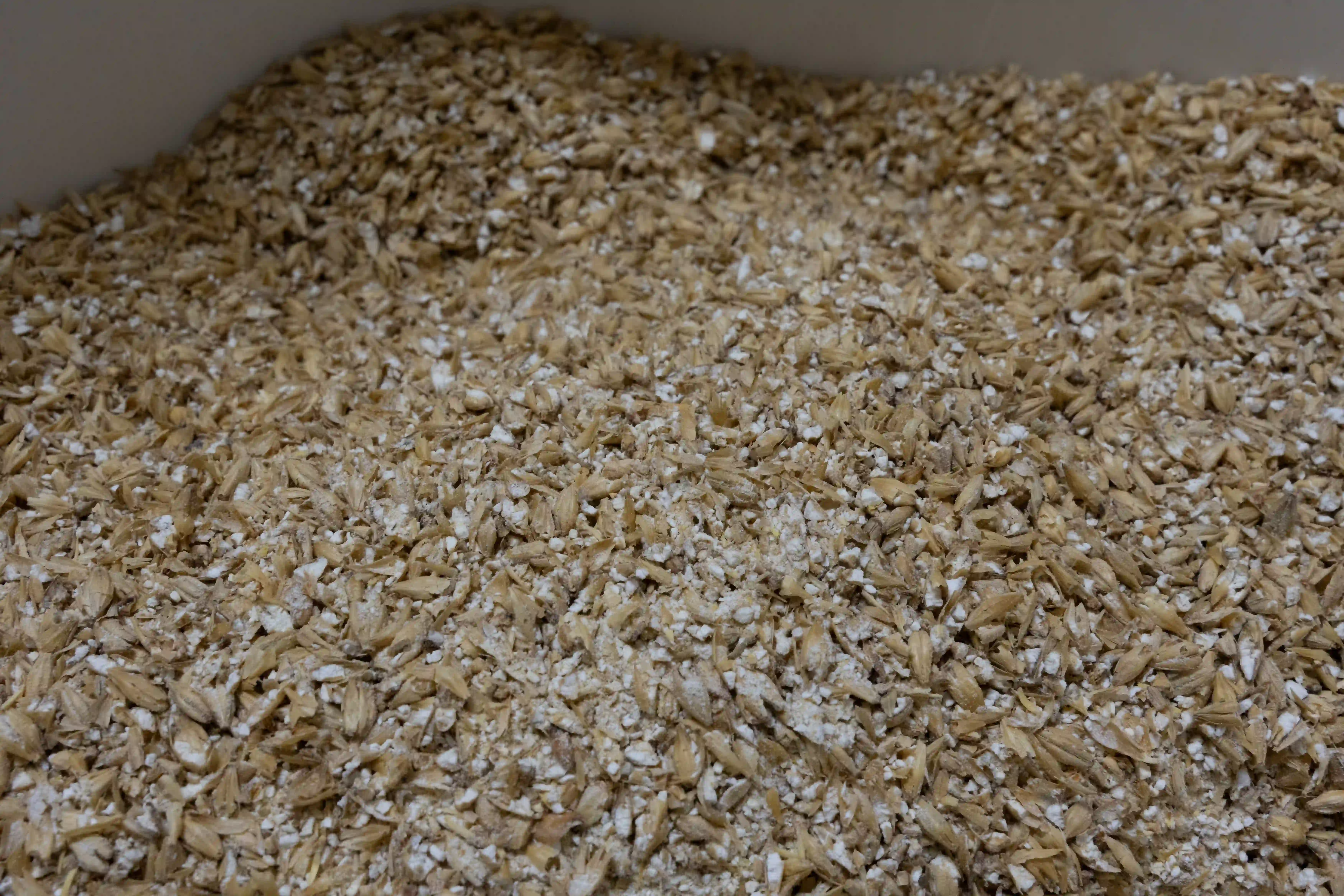Tibi Brauerei Impression 8